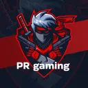prgaming1