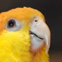 mimi.meemz