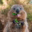 szymooon1234999