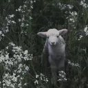 .nihilarian