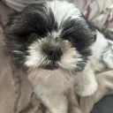 kaney_s