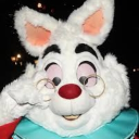 avatar Curtis The Frog