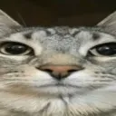 normaximum