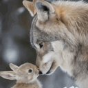 avatar 𝙱𝚄𝙽𝙱𝚄𝙽