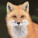 masterz231 avatar
