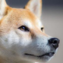 RikuPain