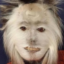 avatar Gingivitis Khan