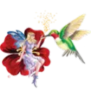 hummingbirdmomma