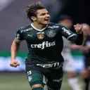 .raphaelveiga23 avatar