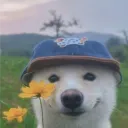 fennekf