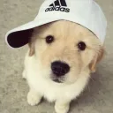 auxta.