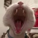 mrhasuno