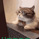 techguy86
