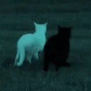 kyuaikz