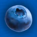 zinxyofmars