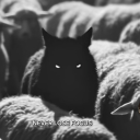 avatar ShadowWolf🐑🐺