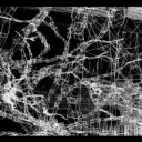 avatar INDEFINITE HIATUS