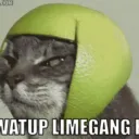 nickb411