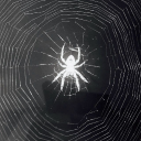 avatar ††4.denuu44††