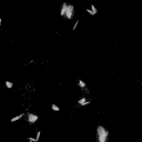 avatar ††4.denuu44††