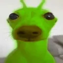 peter_rata3000