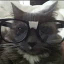 luciferchoo