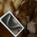 szaq_