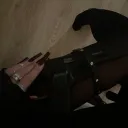 fvtimakills avatar