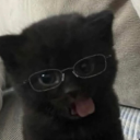 Discord Avatar