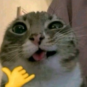 avatar 𝘓𝘢𝘳𝘢