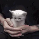 eko.ek