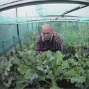 chris_packettoplate