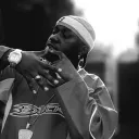 gioniporter