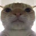 mr_sphy avatar