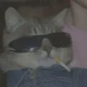mrnoobys