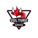 vultureshock.