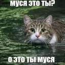 muron_35