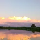 muron_35