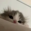 Аватар eraaayy_