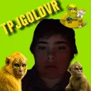 tpjgoldvr