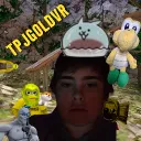 tpjgoldvr