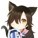 kisaraginoa