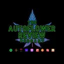 theautoflowerreview