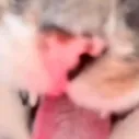taa_91