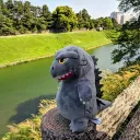 oscargaturro02
