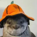 sillygoose727