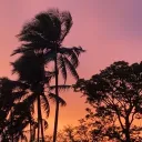 maukalivin808