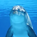 oliver.movemns