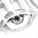 53bzs avatar