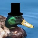 dapperduck_